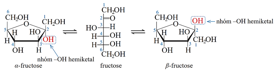 Carbohydrate (Chuyên đề Hóa học ôn thi Tốt nghiệp 2025)