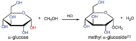 Carbohydrate (Chuyên đề Hóa học ôn thi Tốt nghiệp 2025)
