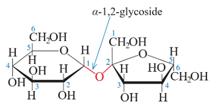 Carbohydrate (Chuyên đề Hóa học ôn thi Tốt nghiệp 2025)