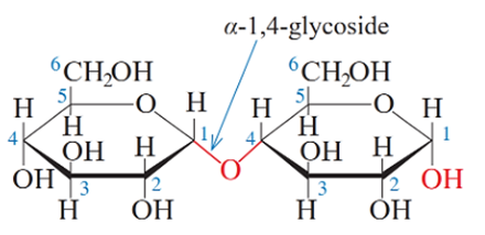 Carbohydrate (Chuyên đề Hóa học ôn thi Tốt nghiệp 2025)