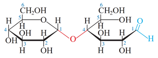 Carbohydrate (Chuyên đề Hóa học ôn thi Tốt nghiệp 2025)