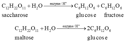 Carbohydrate (Chuyên đề Hóa học ôn thi Tốt nghiệp 2025)