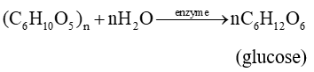 Carbohydrate (Chuyên đề Hóa học ôn thi Tốt nghiệp 2025)