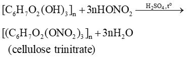 Carbohydrate (Chuyên đề Hóa học ôn thi Tốt nghiệp 2025)