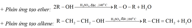 Dẫn xuất halogen - alcohol - phenol (Chuyên đề Hóa học ôn thi Tốt nghiệp 2025)