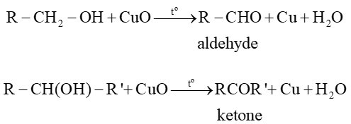 Dẫn xuất halogen - alcohol - phenol (Chuyên đề Hóa học ôn thi Tốt nghiệp 2025)
