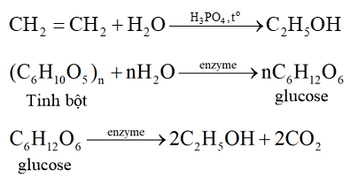 Dẫn xuất halogen - alcohol - phenol (Chuyên đề Hóa học ôn thi Tốt nghiệp 2025)