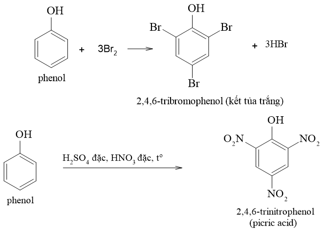 Dẫn xuất halogen - alcohol - phenol (Chuyên đề Hóa học ôn thi Tốt nghiệp 2025)