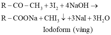 Hợp chất carbonyl - carboxylic acid (Chuyên đề Hóa học ôn thi Tốt nghiệp 2025)