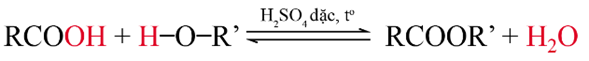 Hợp chất carbonyl - carboxylic acid (Chuyên đề Hóa học ôn thi Tốt nghiệp 2025)