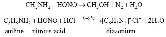 Hợp chất chứa nitrogen (Chuyên đề Hóa học ôn thi Tốt nghiệp 2025)