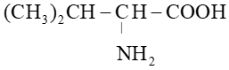 Hợp chất chứa nitrogen (Chuyên đề Hóa học ôn thi Tốt nghiệp 2025)