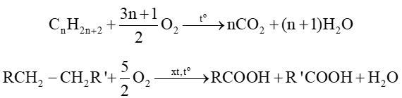 Hydrocarbon (Chuyên đề Hóa học ôn thi Tốt nghiệp 2025)