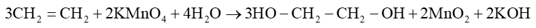 Hydrocarbon (Chuyên đề Hóa học ôn thi Tốt nghiệp 2025)