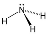 Nitrogen – sulfur (Chuyên đề Hóa học ôn thi Tốt nghiệp 2025)
