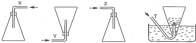 Nitrogen – sulfur (Chuyên đề Hóa học ôn thi Tốt nghiệp 2025)