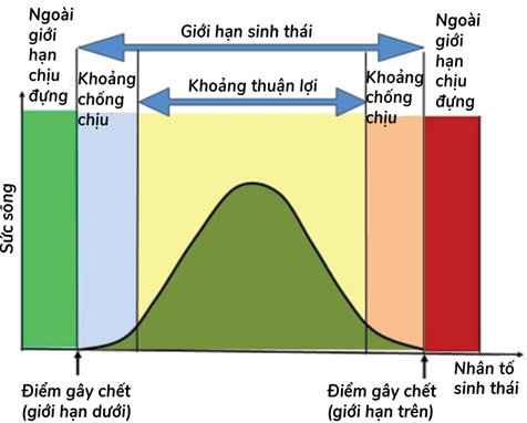 Sinh thái học và môi trường (Chuyên đề Sinh học ôn thi Tốt nghiệp 2025)