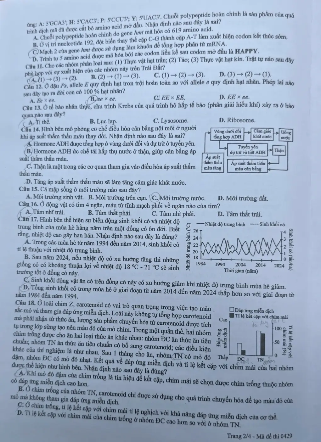 Đề chính thức Sinh học Tốt nghiệp THPT 2026 (có đáp án)