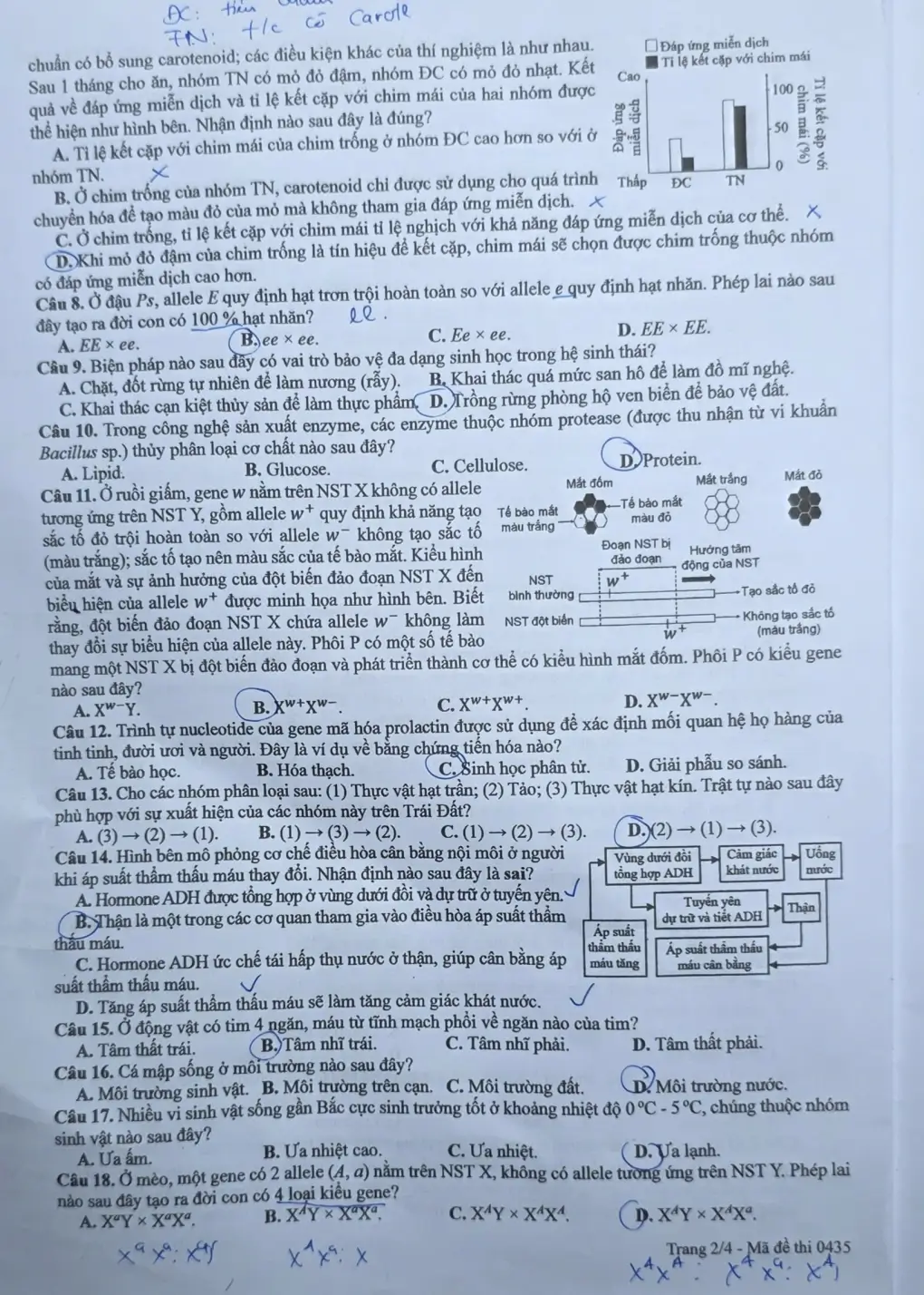 Đề chính thức Sinh học Tốt nghiệp THPT 2026 (có đáp án)