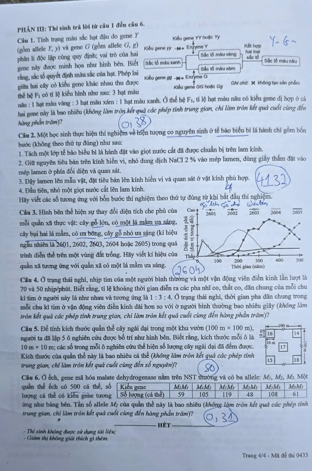 Đề chính thức Sinh học Tốt nghiệp THPT 2026 (có đáp án)