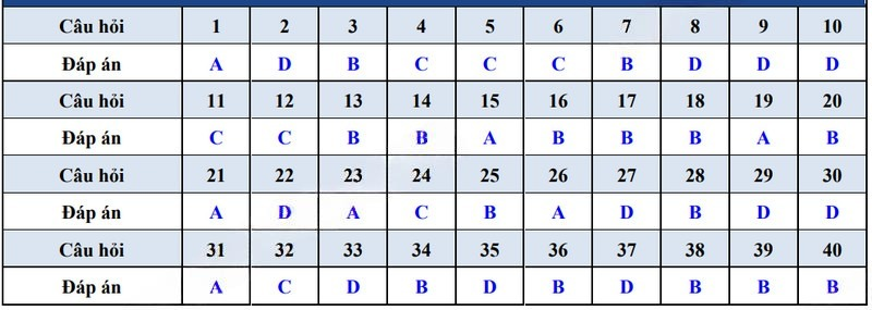 Đề minh họa Tiếng Anh ĐGNL Đại học Sư phạm Tp.HCM 2025
