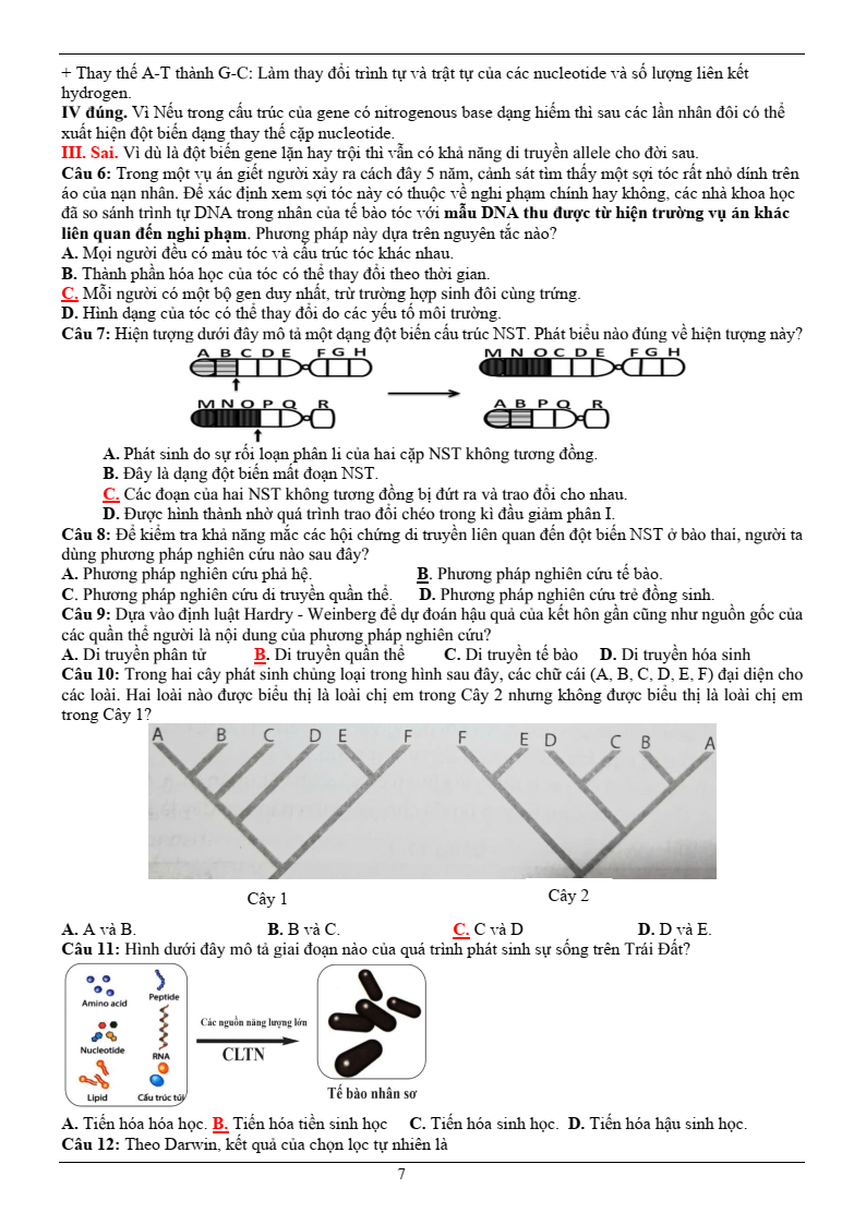50+ Đề ôn thi Tốt nghiệp THPT Sinh học năm 2026 (có đáp án)