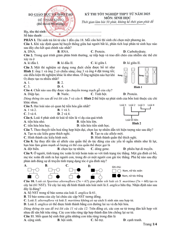 Đề tham khảo Tốt nghiệp THPT Sinh học năm 2025