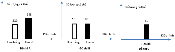 Đề thi học sinh giỏi Sinh học 12 cụm trường THPT Hoằng Hóa năm 2025