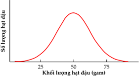 Đề thi học sinh giỏi Sinh học 12 Sở GD&ĐT Bà Rịa - Vũng Tàu năm 2025