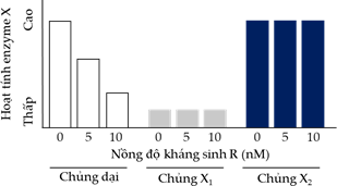 Đề thi học sinh giỏi Sinh học 12 Sở GD&ĐT Bà Rịa - Vũng Tàu năm 2025