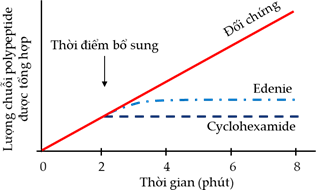 Đề thi học sinh giỏi Sinh học 12 Sở GD&ĐT Bà Rịa - Vũng Tàu năm 2025