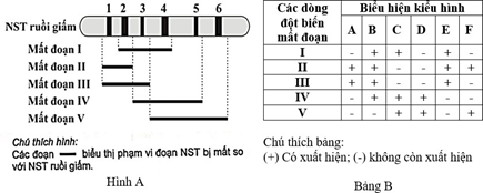 Đề thi học sinh giỏi Sinh học 12 Sở GD&ĐT Bắc Ninh năm 2025