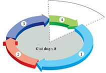 Đề thi học sinh giỏi Sinh học 12 Sở GD&ĐT Bắc Ninh năm 2025