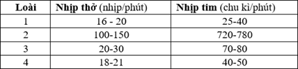Đề thi học sinh giỏi Sinh học 12 Sở GD&ĐT Bắc Ninh năm 2025