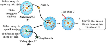 Đề thi học sinh giỏi Sinh học 12 Sở GD&ĐT Bắc Ninh năm 2025