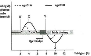 Đề thi học sinh giỏi Sinh học 12 Sở GD&ĐT Bắc Ninh năm 2025
