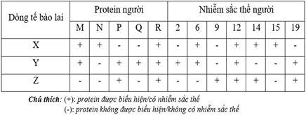 Đề thi học sinh giỏi Sinh học 12 Sở GD&ĐT Hải Phòng năm 2025
