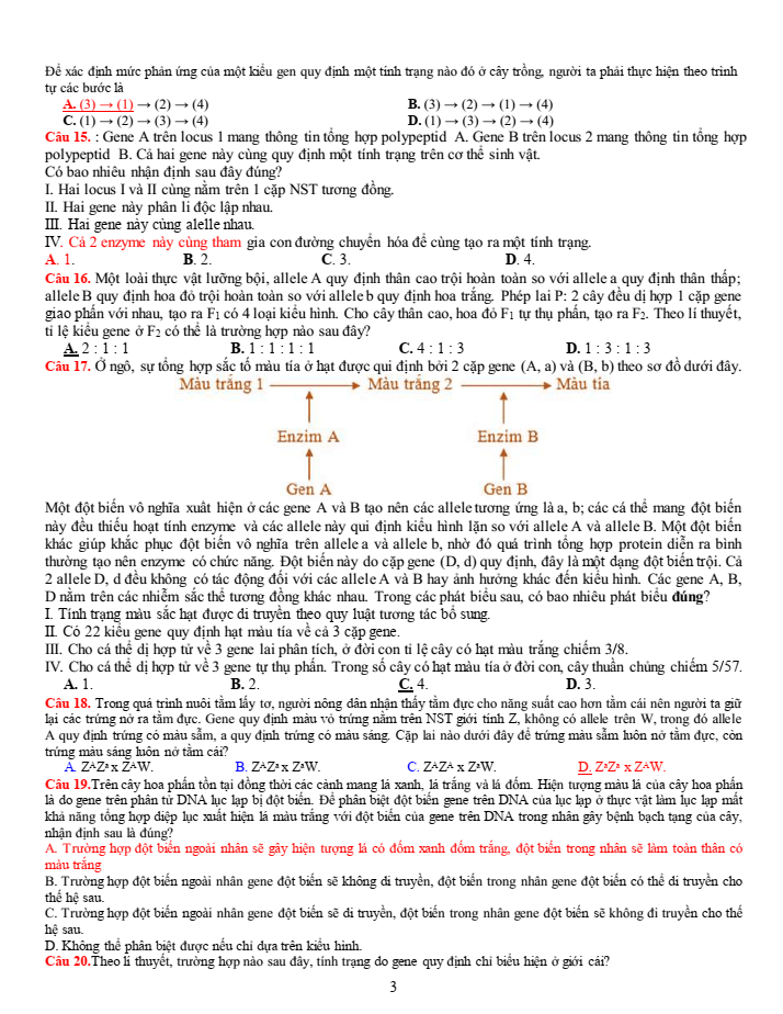 Đề thi học sinh giỏi Sinh học 12 trường THPT Bắc Đông Quan (Hưng Yên) năm 2025-2026
