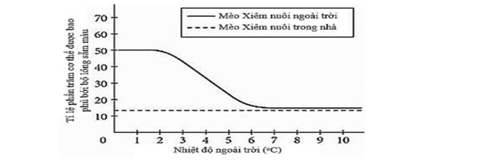 Đề thi học sinh giỏi Sinh học 12 trường THPT Bắc Đông Quan (Hưng Yên) năm 2025-2026