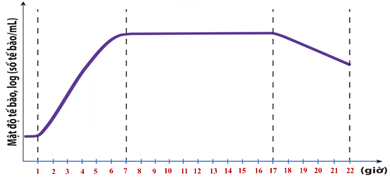 Đề thi học sinh giỏi Sinh học 12 trường THPT Bắc Đông Quan (Hưng Yên) năm 2025-2026