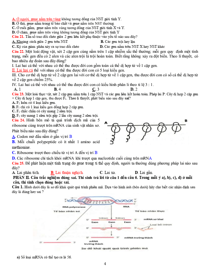 Đề thi học sinh giỏi Sinh học 12 trường THPT Bắc Đông Quan (Hưng Yên) năm 2025-2026