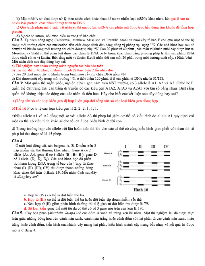 Đề thi học sinh giỏi Sinh học 12 trường THPT Bắc Đông Quan (Hưng Yên) năm 2025-2026