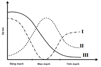 Đề thi học sinh giỏi Sinh học 12 trường THPT Lê Quý Đôn (Ninh Bình) năm 2025-2026