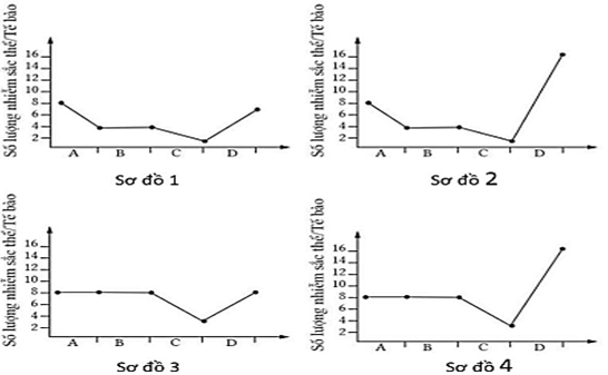 Đề thi học sinh giỏi Sinh học 12 trường THPT Lê Quý Đôn (Ninh Bình) năm 2025-2026