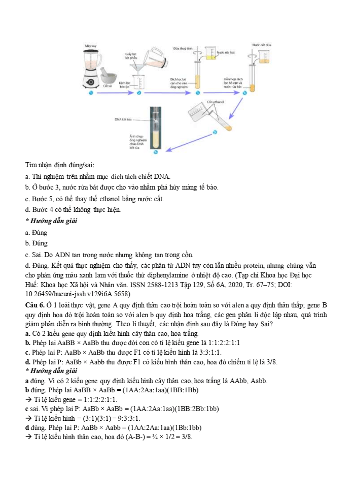 Đề thi học sinh giỏi Sinh học 12 trường THPT Lê Quý Đôn (Ninh Bình) năm 2025-2026