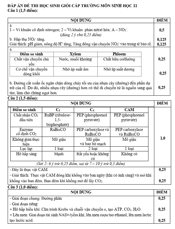 Đề thi học sinh giỏi Sinh học 12 trường THPT Nguyễn Đình Chiểu năm 2025
