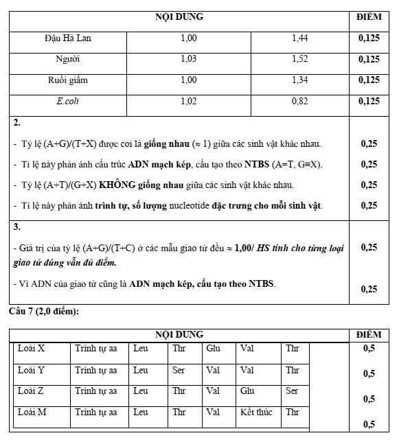Đề thi học sinh giỏi Sinh học 12 trường THPT Nguyễn Đình Chiểu năm 2025