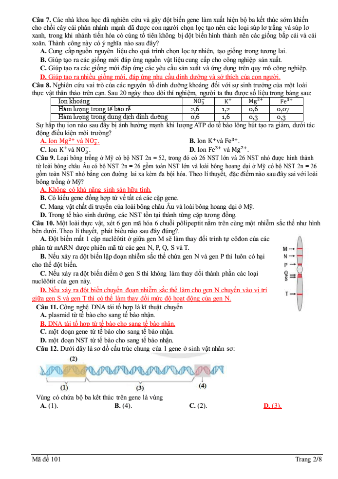 Đề thi học sinh giỏi Sinh học 12 trường THPT Quốc Tuấn (Hải Phòng) năm 2025-2026
