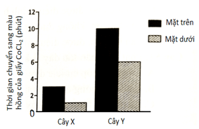 Đề thi học sinh giỏi Sinh học 12 trường THPT Quốc Tuấn (Hải Phòng) năm 2025-2026