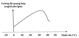 Đề thi học sinh giỏi Sinh học 12 trường THPT Quốc Tuấn (Hải Phòng) năm 2025-2026